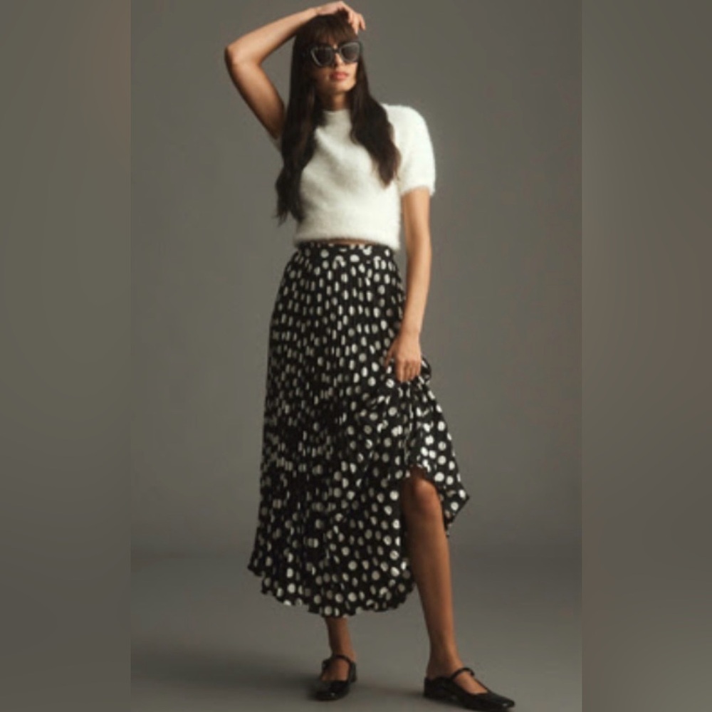 Anthropologie Black and White pleated Skirt
